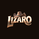 600x300 lizaro